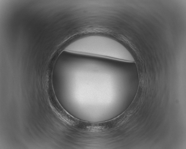 X0000084000448200702160801