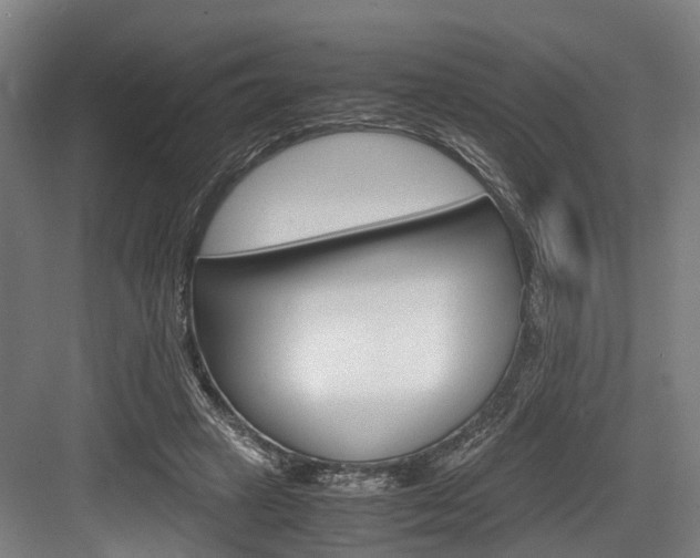 X0000084000449200702160801