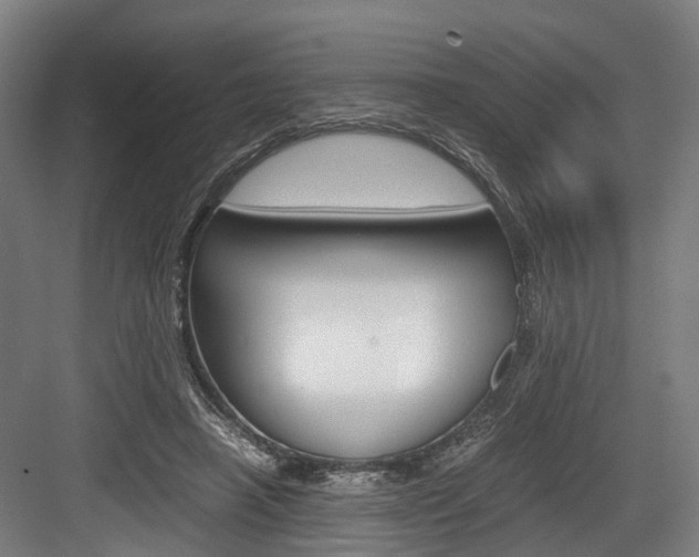 X0000084000450200702160801
