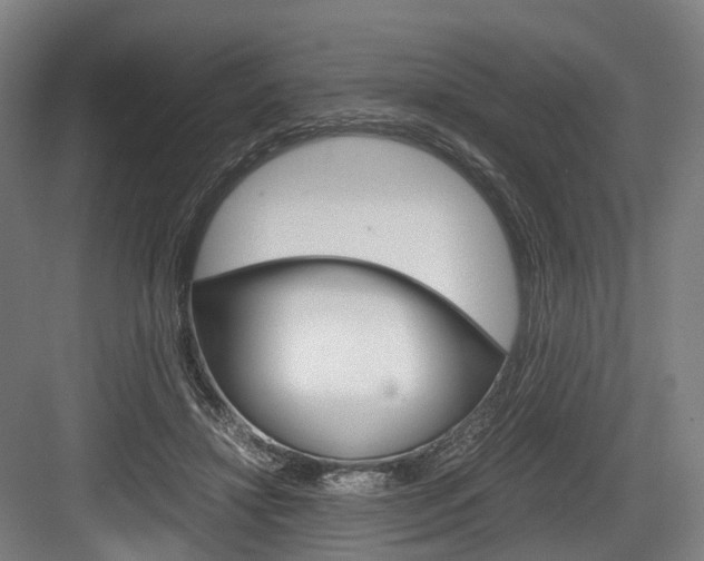 X0000084000452200702160801
