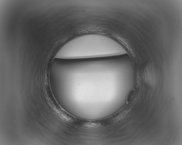 X0000084000453200702160801