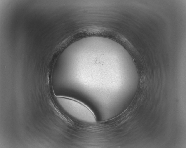 X0000084000454200702160801