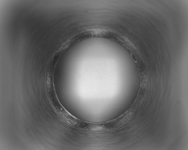 X0000084000456200702160801