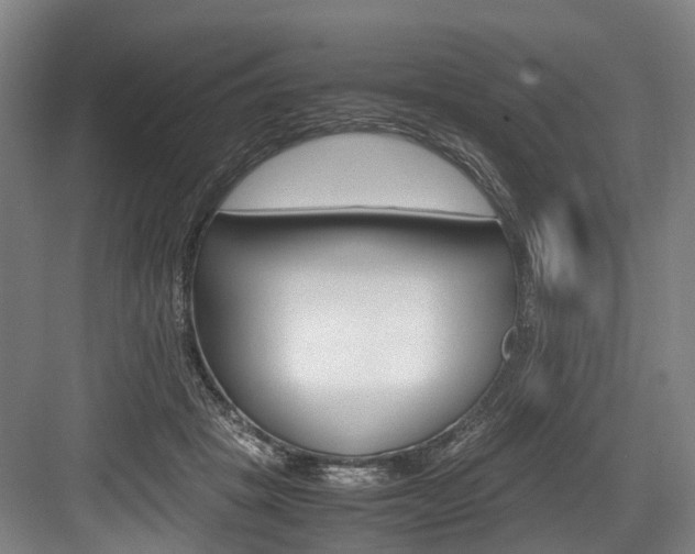 X0000084000457200702160801