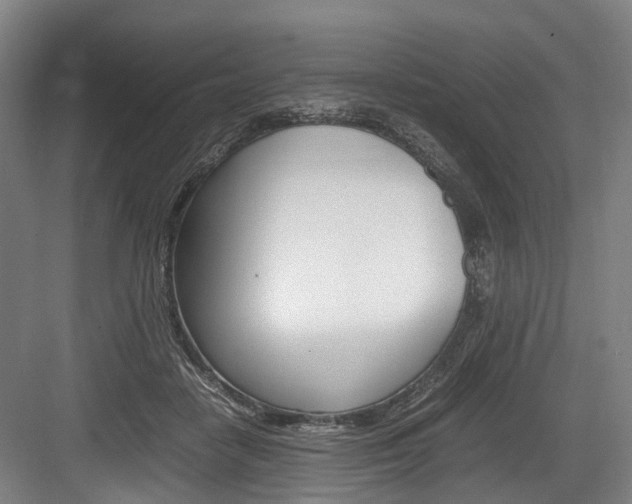 X0000084000458200702160801