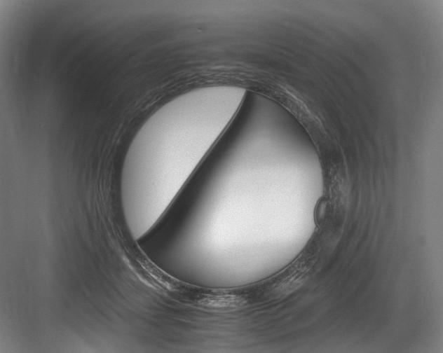 X0000084000459200702160801