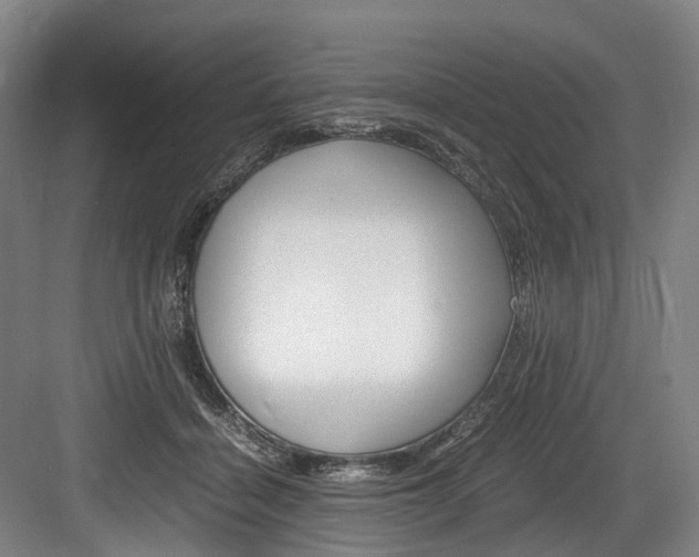 X0000084000460200702160801