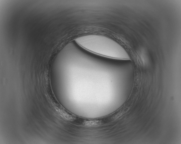 X0000084000461200702160801