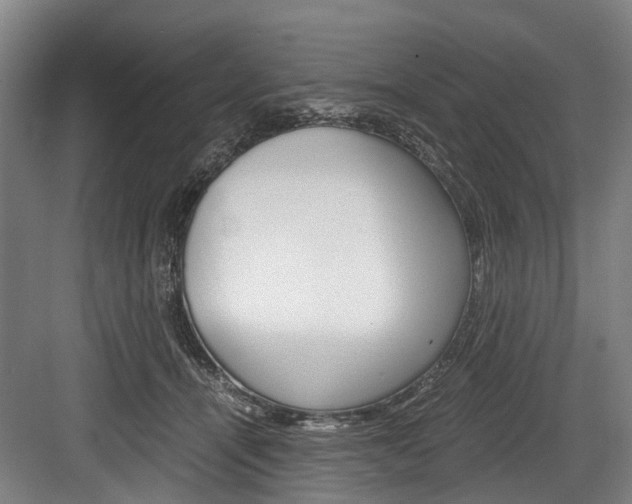 X0000084000464200702160801