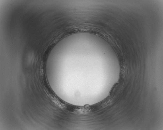 X0000084000466200702160801