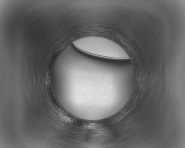 X0000084000467200702160801