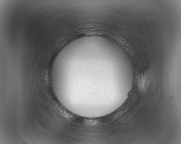 X0000084000469200702160801