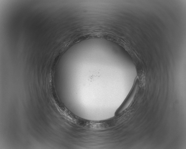 X0000084000472200702160801