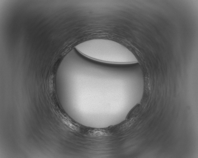 X0000084000475200702160801