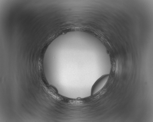 X0000084000476200702160801
