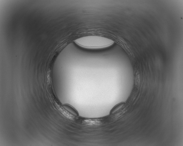 X0000084000477200702160801