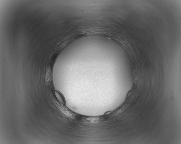 X0000084000478200702160801