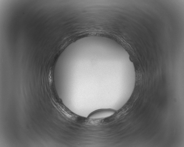 X0000084000479200702160801