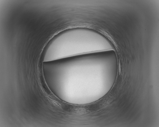X0000084000483200702160800