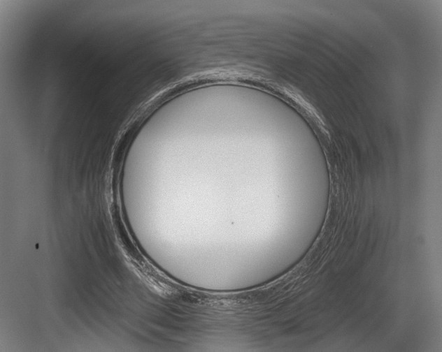 X0000084000486200702160800