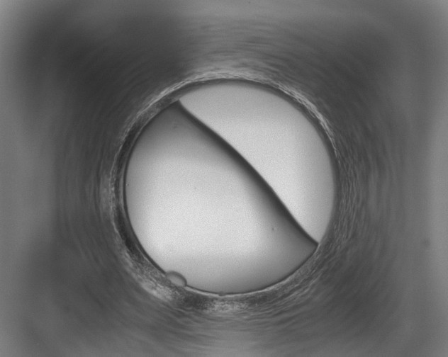 X0000084000487200702160800