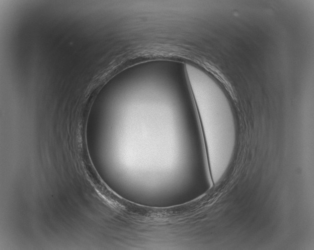 X0000084000489200702160800