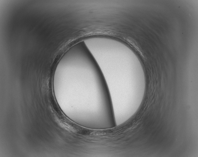 X0000084000491200702160800