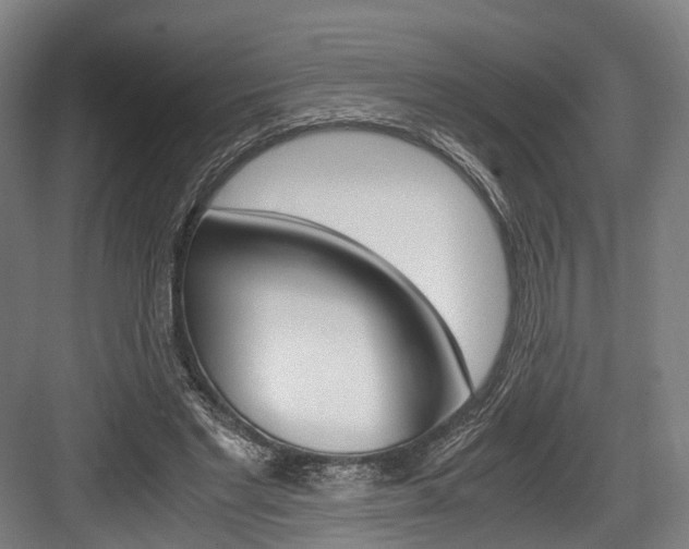 X0000084000493200702160800