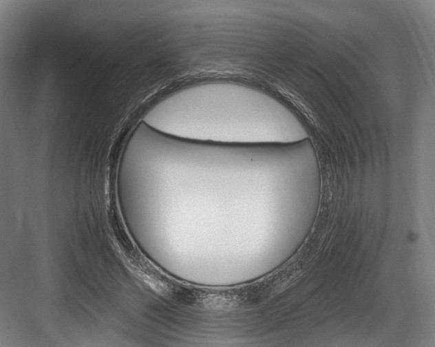 X0000084000494200702160800