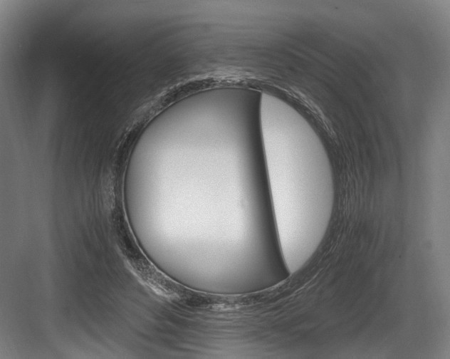 X0000084000496200702160800