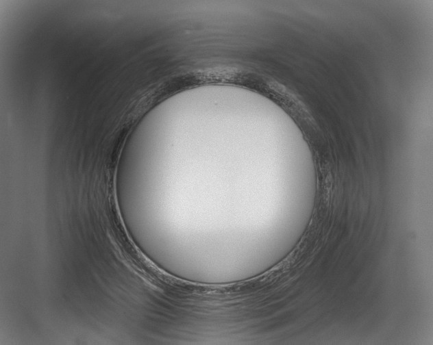 X0000084000498200702160800