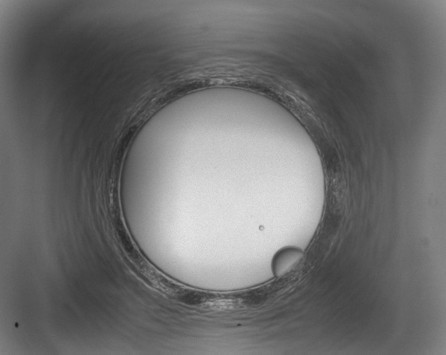 X0000084000499200702160800