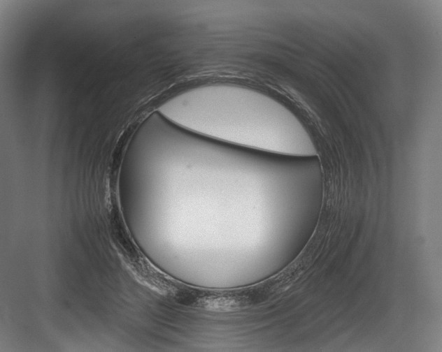 X0000084000500200702160800