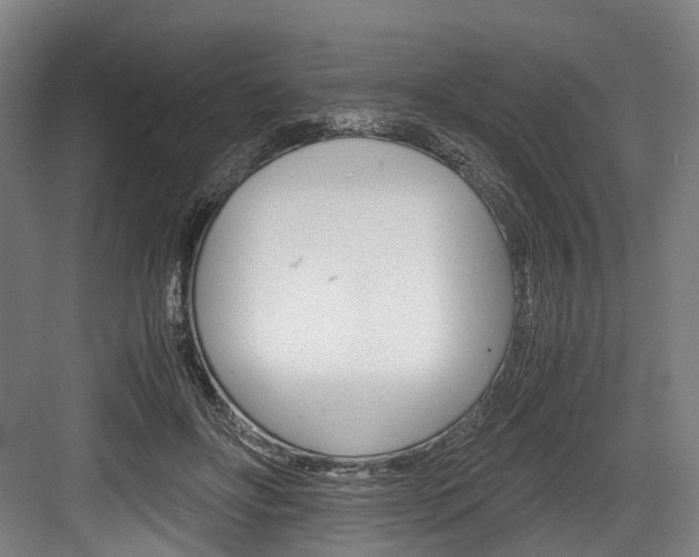 X0000084000502200702160800