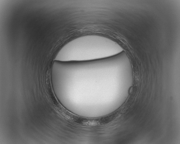 X0000084000503200702160800
