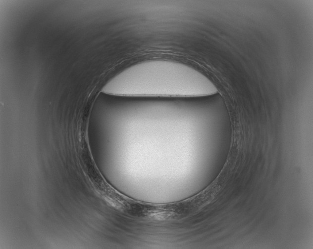X0000084000504200702160800