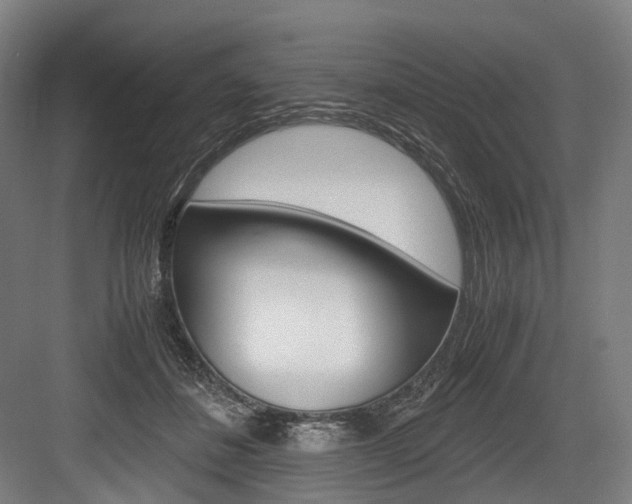 X0000084000508200702160800