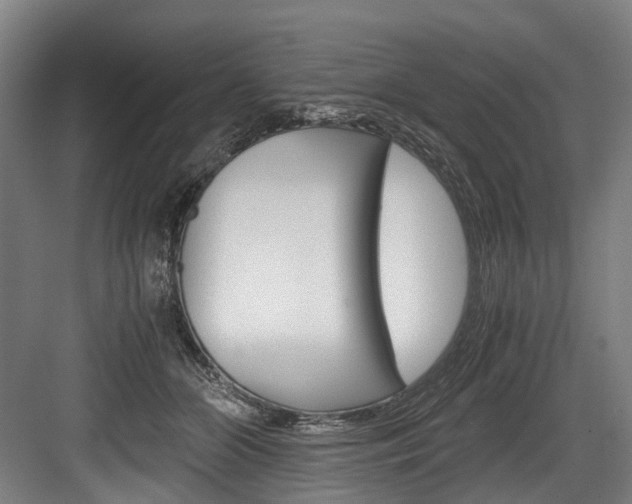 X0000084000510200702160800