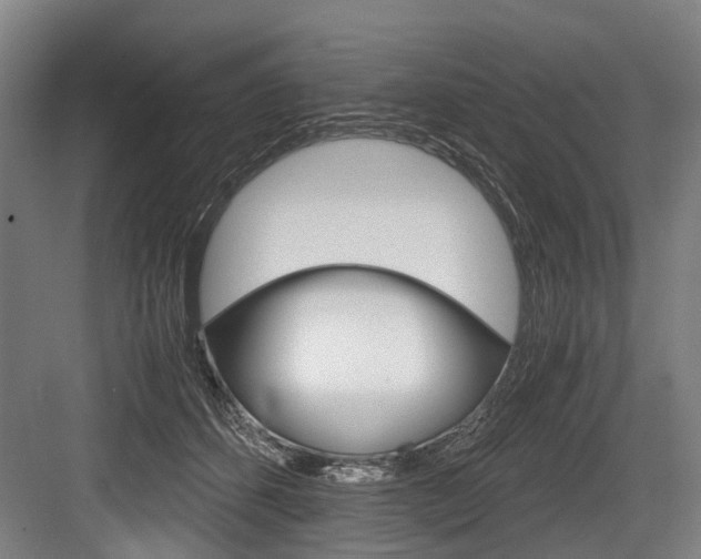 X0000084000512200702160800