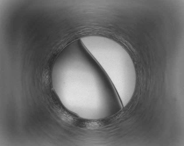 X0000084000513200702160800