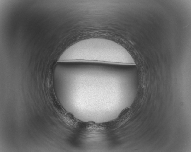 X0000084000515200702160800