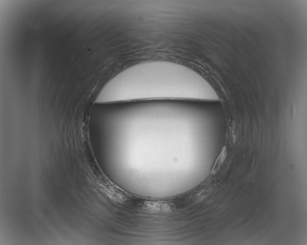 X0000084000520200702160800