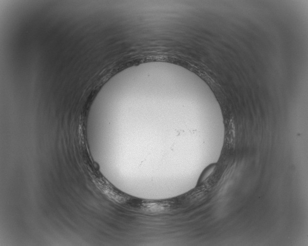 X0000084000522200702160800