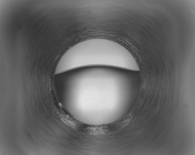 X0000084000524200702160800