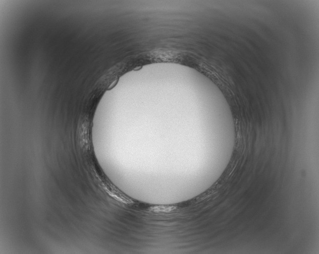 X0000084000526200702160800
