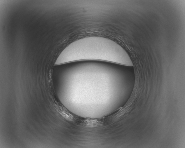 X0000084000528200702160759