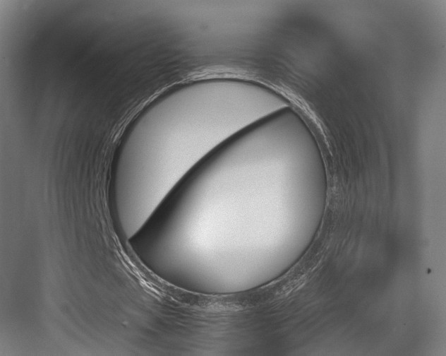 X0000084000529200702160759