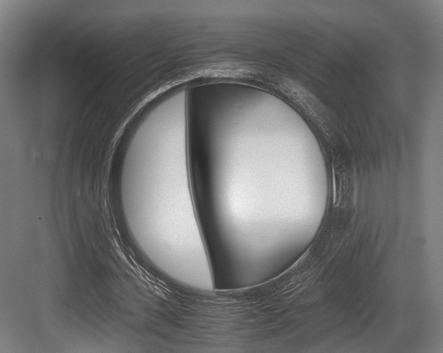 X0000084000531200702160759