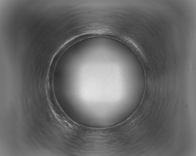 X0000084000532200702160759