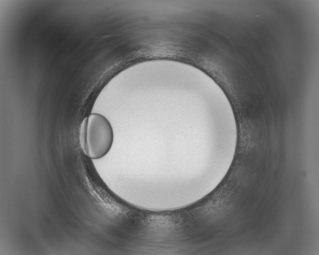 X0000084000534200702160759